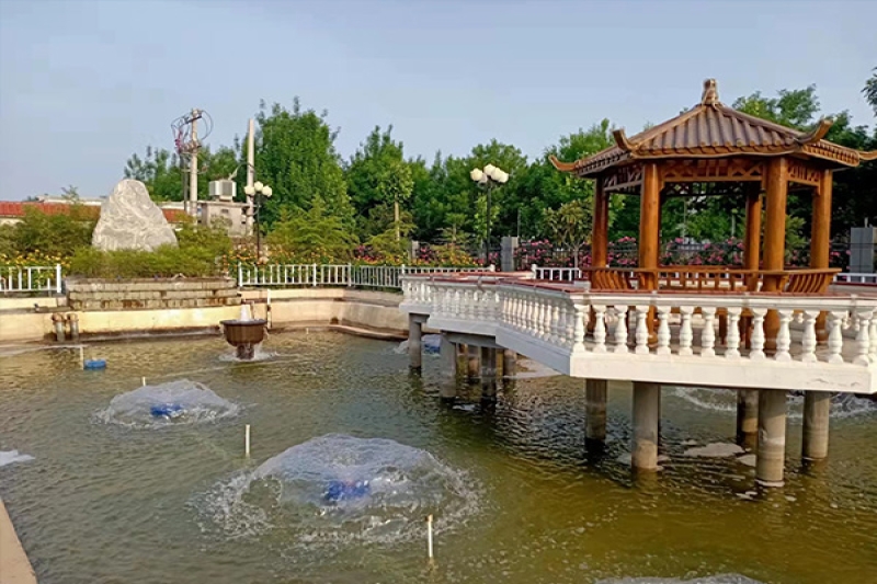 Environmental display