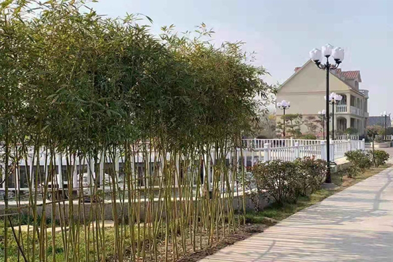 Environmental display